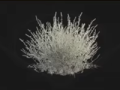 Thumbnail for version as of 01:06, 17 March 2025